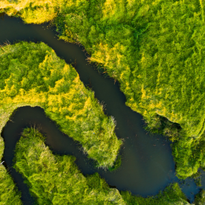 Órgão da ONU afirma que mudança climática é crise urgente e agravada por atividades humanas com efeitos globais; parecer consultivo sublinha que solução total para o problema requer contribuição de todos os campos do conhecimento; em nota separada, secretário-geral da ONU elogiou opinião jurídica.