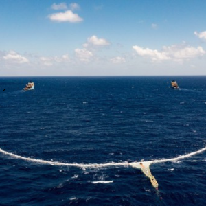 Como uma enorme mancha de lixo virou um ecossistema no oceano?