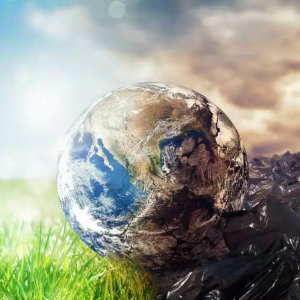 Grupo na ONU pede a Brasil para interromper retrocesso em política ambiental
