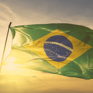 Entre duas pátrias: o caso Cláudia Hoerig e a virada constitucional na perda da nacionalidade brasileira