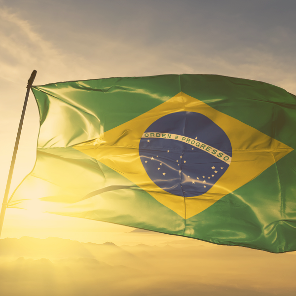 Entre duas pátrias: o caso Cláudia Hoerig e a virada constitucional na perda da nacionalidade brasileira