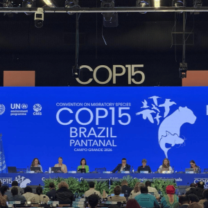 15ª Conferência das Partes da Convenção sobre a Conservação das Espécies Migratórias de Animais Silvestres (COP15 da CMS)
